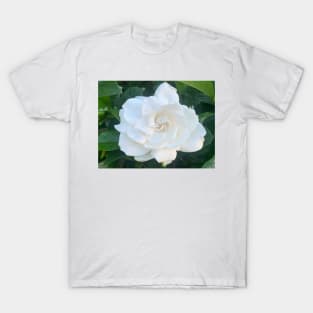 Gardenia flower T-Shirt